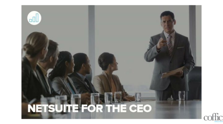 NetSuite for CEO