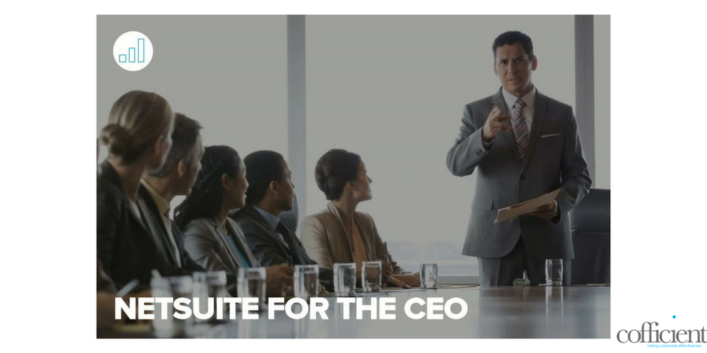 NetSuite for CEO