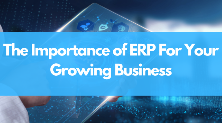 ERP growing business