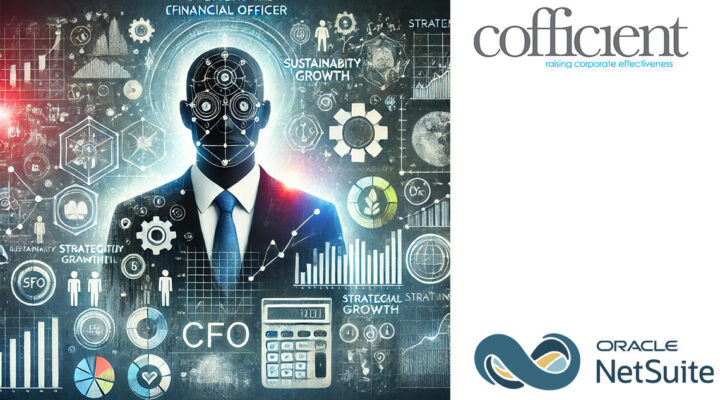 netsuite for financial services