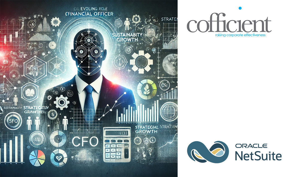 netsuite for financial services