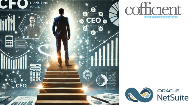 NetSuite global business management software