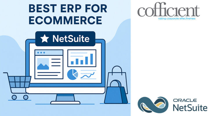 best erp for ecommerce