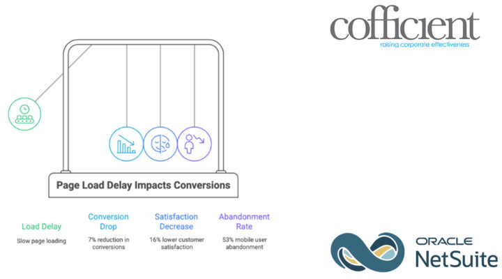 performance optimisation for netsuite