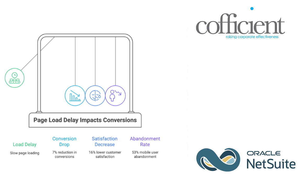 performance optimisation for netsuite